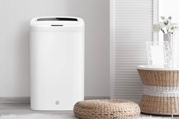 Cách chọn máy hút ẩm phù hợp diện tích phòng