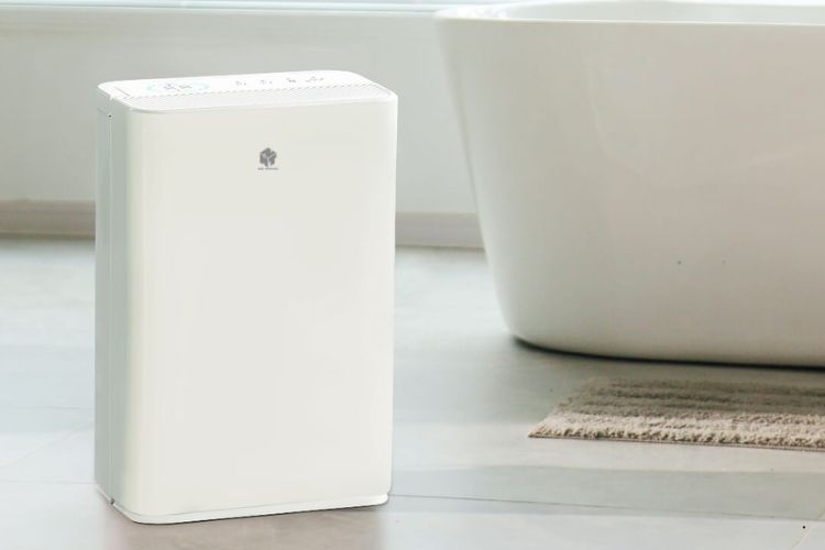 Những lưu ý khi lựa chọn máy hút ẩm