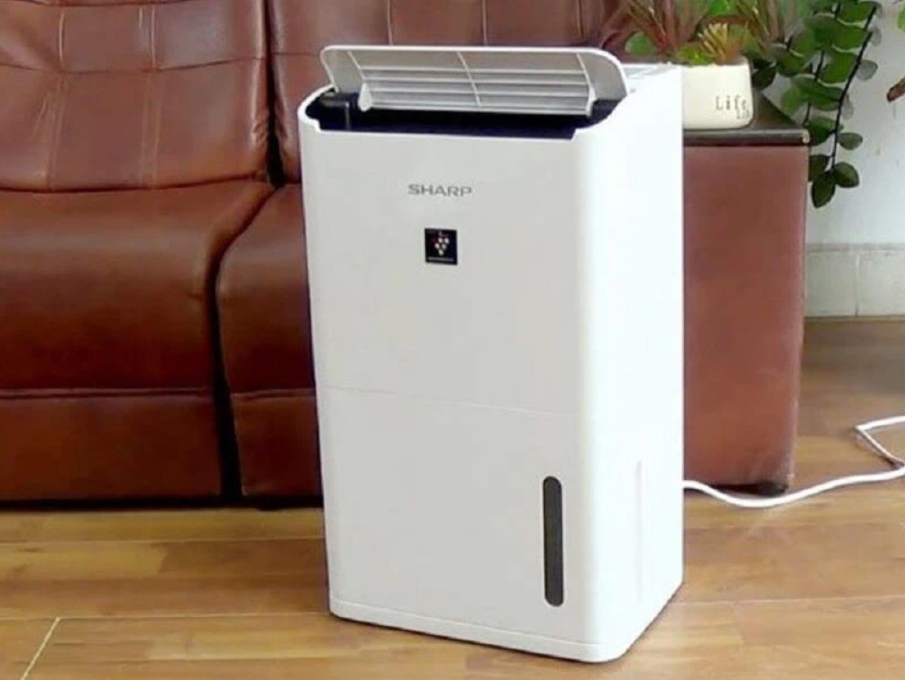 Nên mua máy hút ẩm gia đình loại nào tốt, nhỏ gọn, chống nồm hiệu quả?