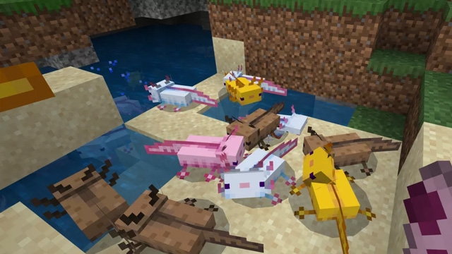 Công dụng của Axolotl Minecraft