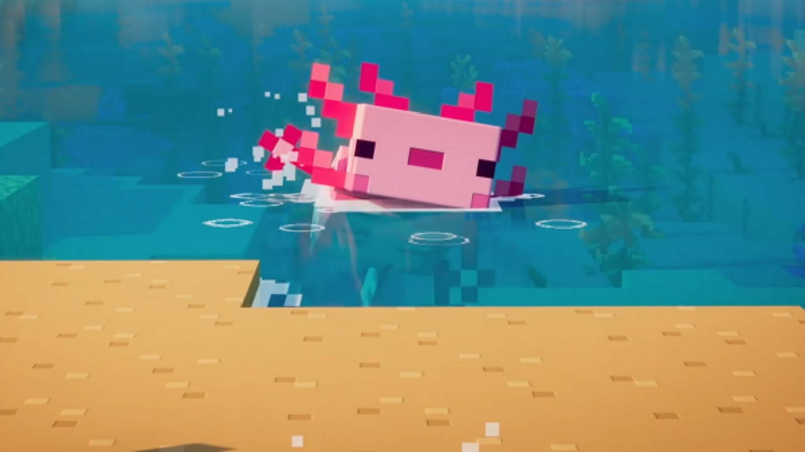Nuôi Axolotl Minecraft