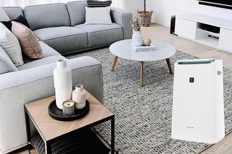 Máy lọc không khí hút ẩm Sharp DW-E16FA-W