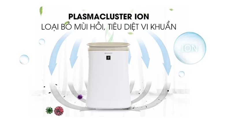 Khi nào nên sử dụng máy lọc không khí (Ảnh 3)