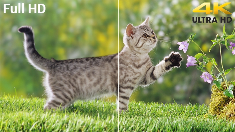 Độ phân giải cao nhờ công nghệ tân tiến