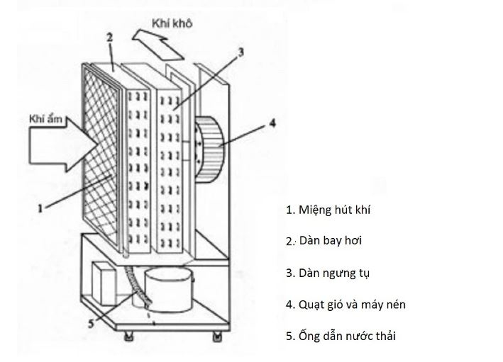 máy hút ẩm rotor và máy hút ẩm ngưng tụ