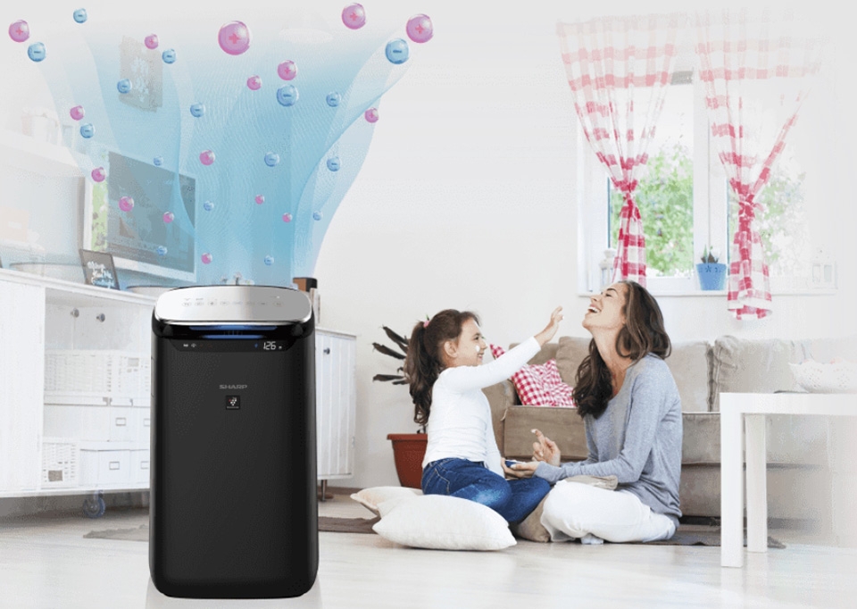 Lọc Haze - Ảnh 03