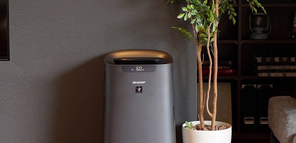 Lọc Haze - Ảnh 05