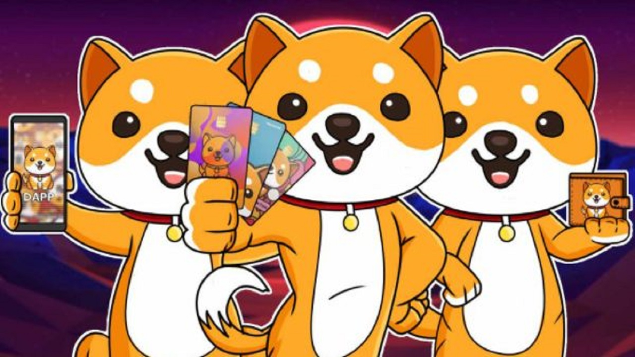 BabyDoge? Điều gì thổi giá BabyDoge tăng 102% chỉ sau một tuần?