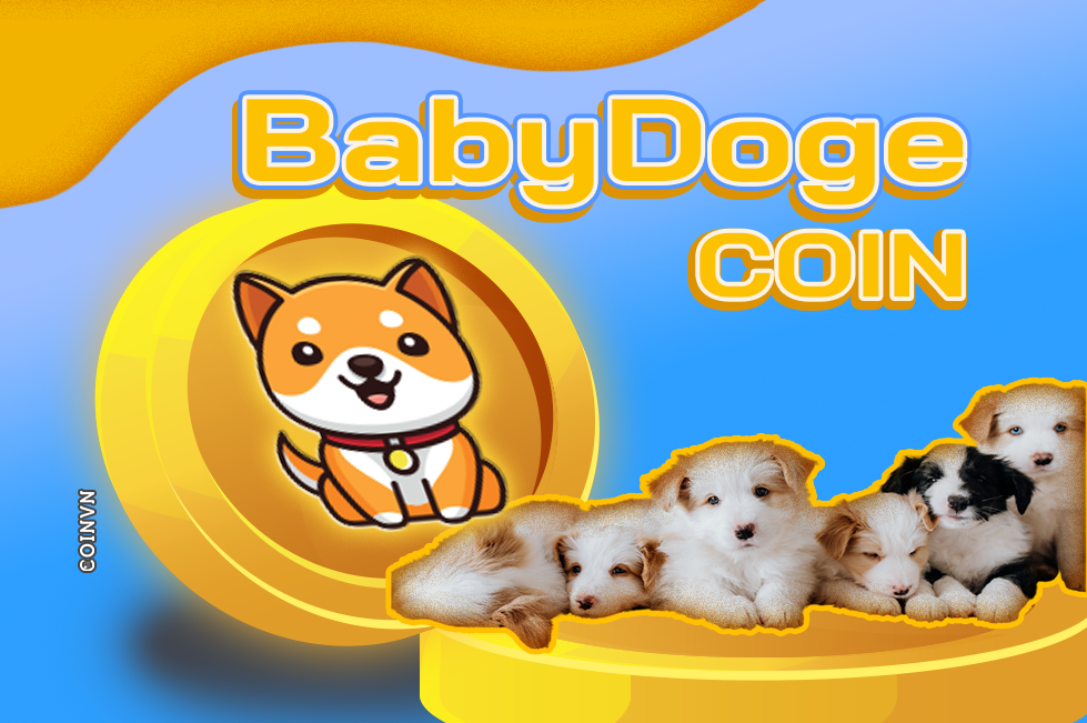 Điều gì làm cho BabyDoge trở nên độc đáo?