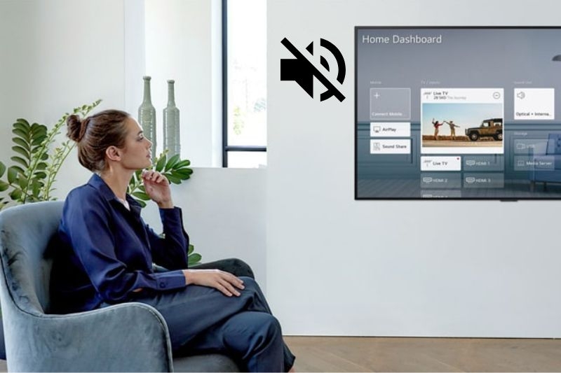 Tivi bị mất tiếng nguyên nhân do đâu (Ảnh 4)