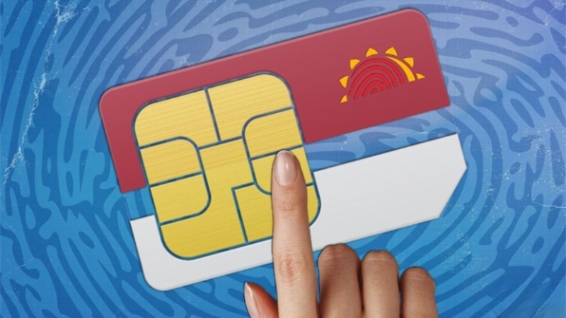 0703 là mạng gì (Ảnh 2)