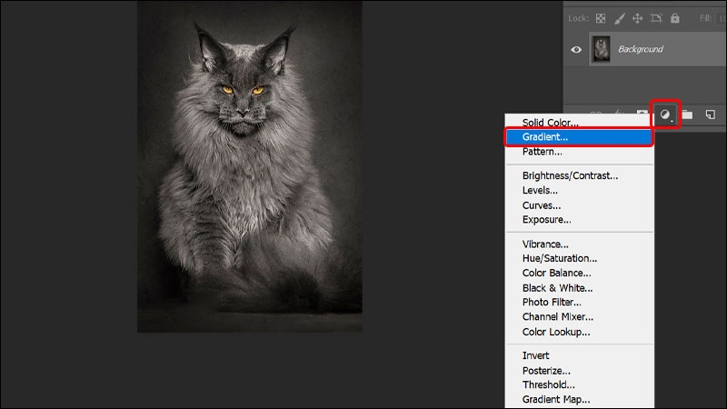 Cách Blend màu đỏ và xanh cho hình ảnh bằng Photoshop