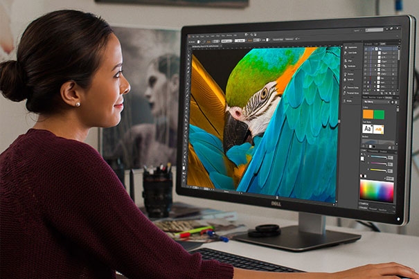 So sánh màn hình Dell U và P (Ảnh 5)