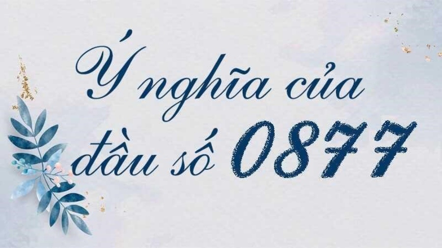 Ý nghĩa “phát lộc phát tài” của đầu 0877