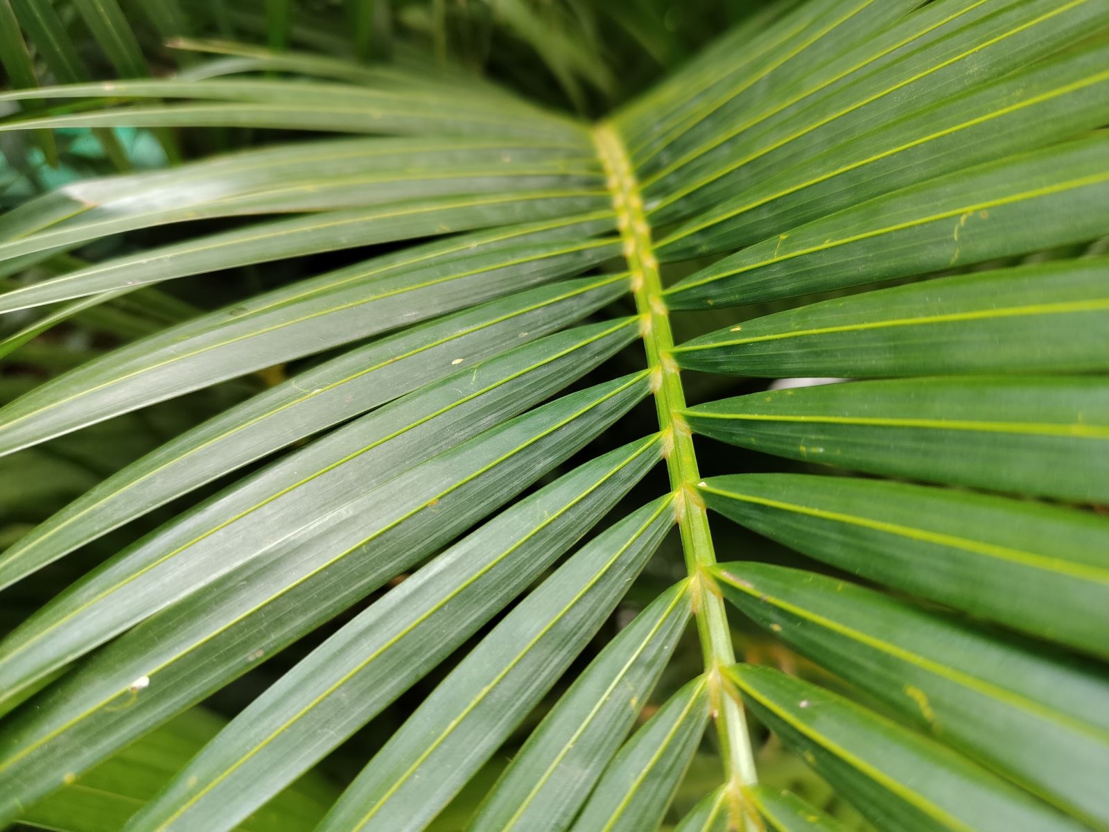 Đánh giá OPPO Reno8 T 5G: Điện thoại Reno đáng mua nhất nửa đầu năm 2023!