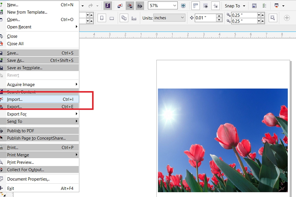 Cách làm mờ ảnh trong Corel (Ảnh 1)