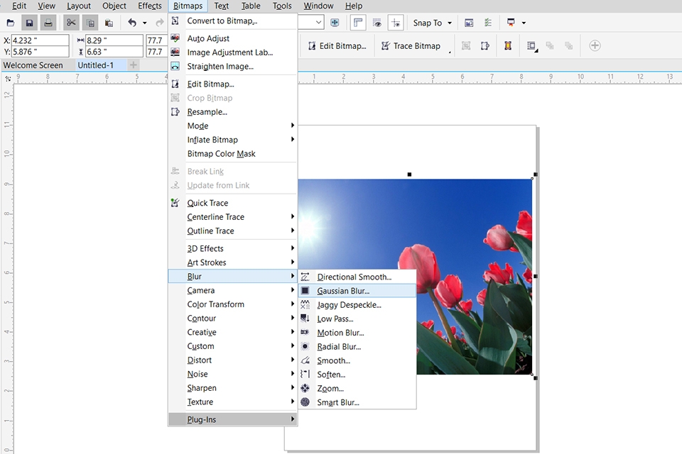 Cách làm mờ ảnh trong Corel (Ảnh 3)