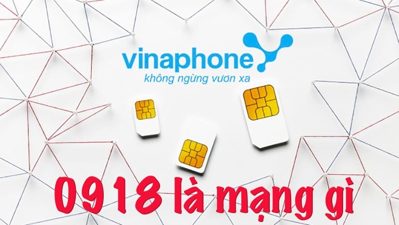 Tìm hiểu 0918 là mạng gì?