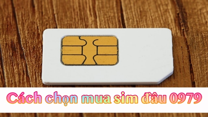 Cách chọn mua sim “thần tài” đầu số 0979 phù hợp