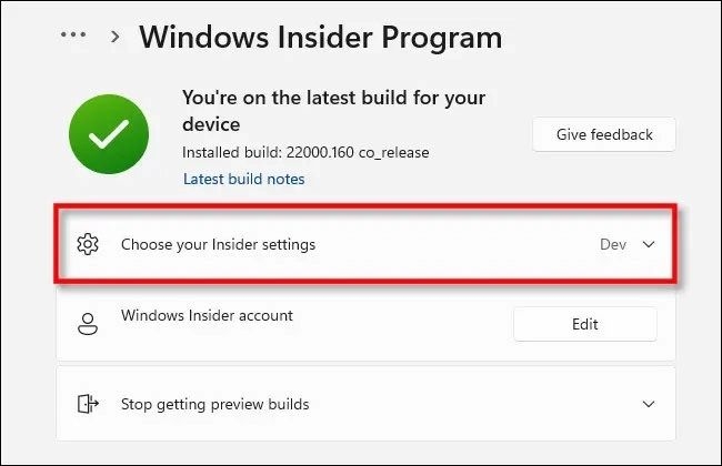 Windows 11 Dev là gì