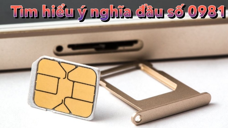 Tìm hiểu về ý nghĩa phong thuỷ của đầu số 0981