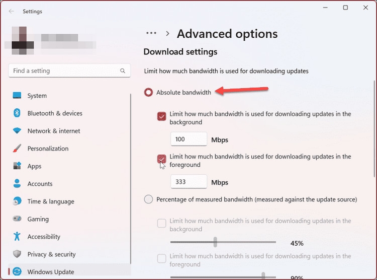 Hướng dẫn giới hạn băng thông khi cập nhật Windows 11 (5)