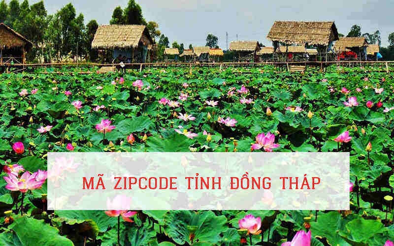 Mã zip Đồng Tháp dùng để xác định vị trí khu vực