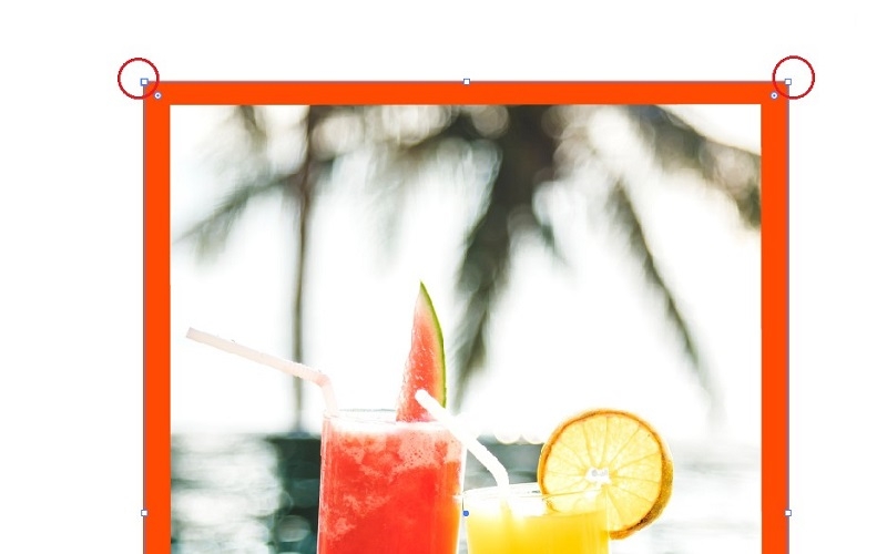 Tạo viền cho ảnh trong AI bằng công cụ Rectangle (Bước 4)