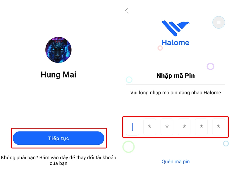 Cách tải và sử dụng ứng dụng Halome