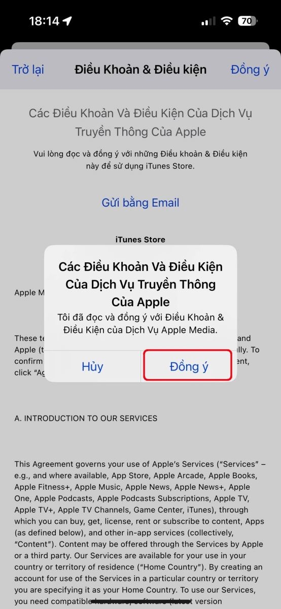 Cách tải DLS 2023 trên iOS