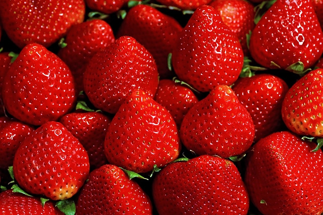 Hướng dẫn sử dụng máy ép chậm Kangaroo KG180SJD một cách hiệu quả