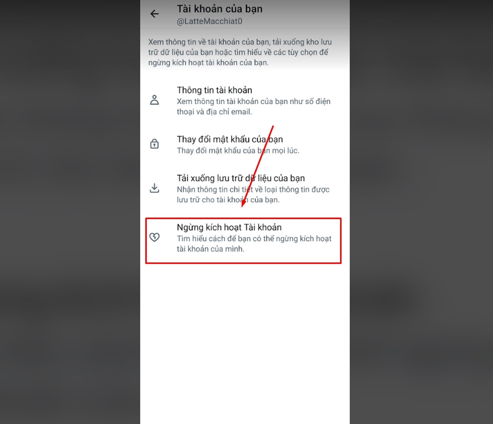 Xóa tài khoản Twitter - Ảnh 05