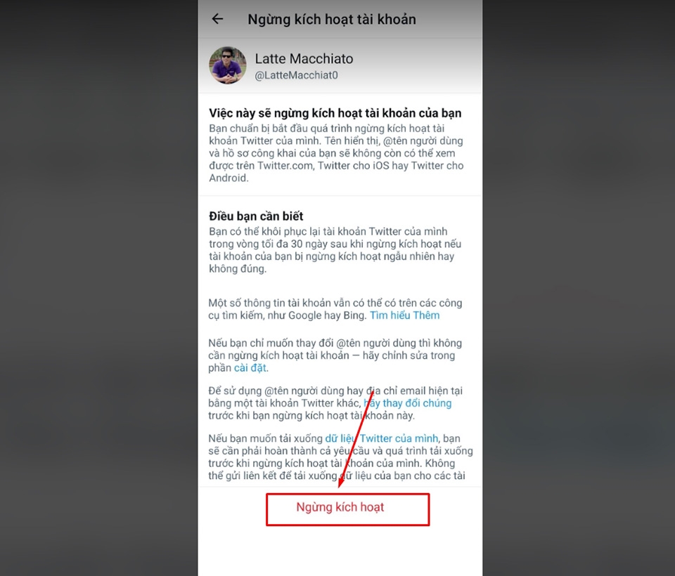 Xóa tài khoản Twitter - Ảnh 06