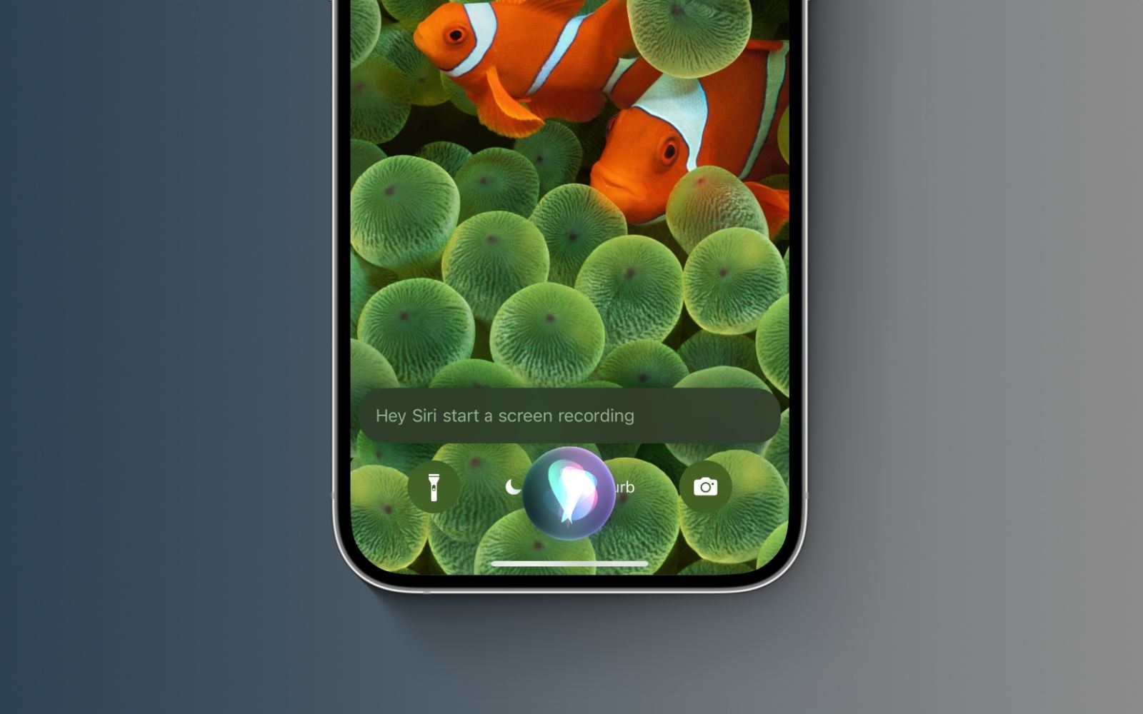 Cách quay phim màn hình iPhone bằng giọng nói