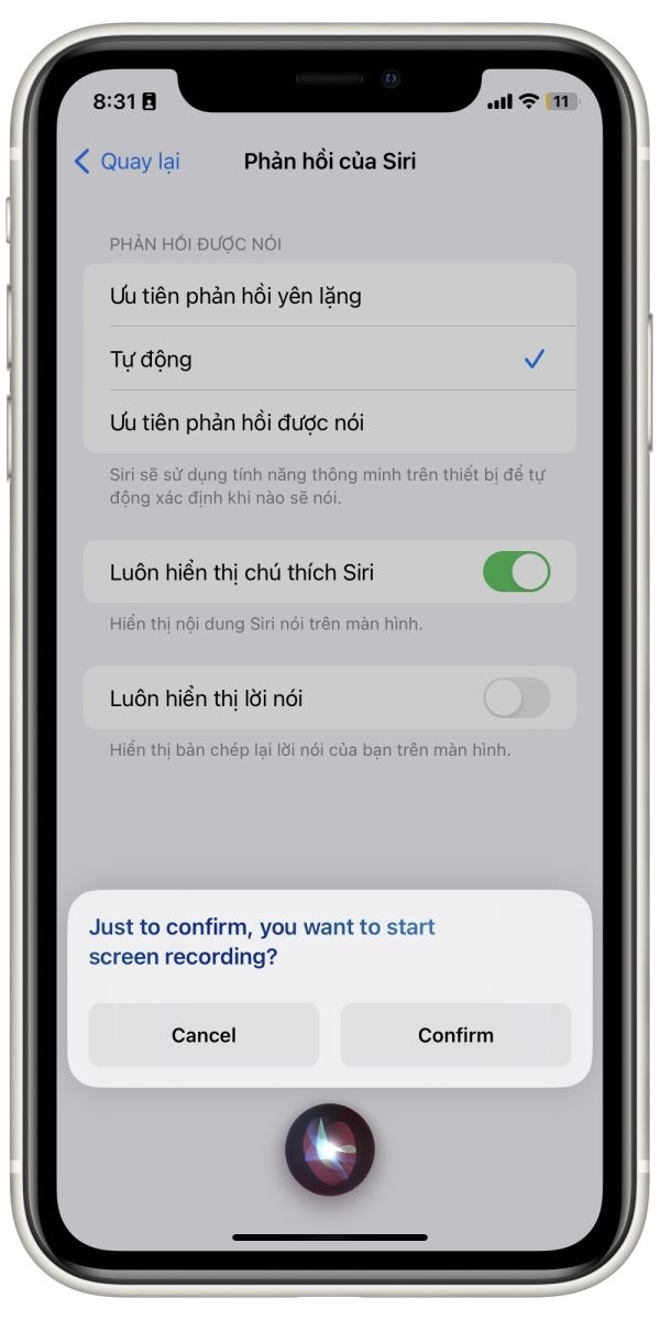 Cách quay phim màn hình iPhone bằng giọng nói