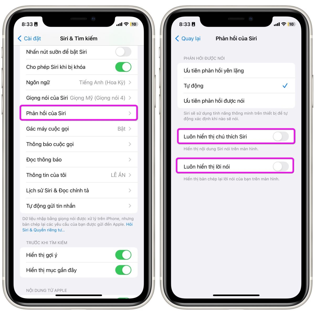 Cách quay phim màn hình iPhone bằng giọng nói
