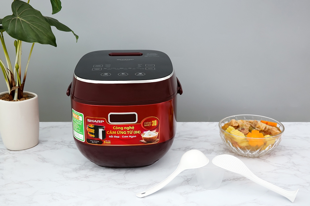 Công nghệ Inverter ở nồi cơm điện - ảnh 2