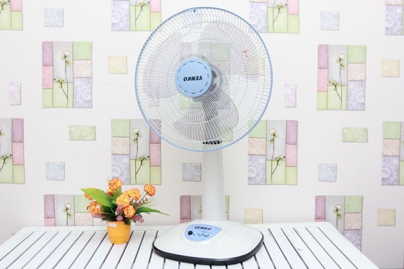 Quạt Senko có tốt không: đánh giá dựa trên thiết kế