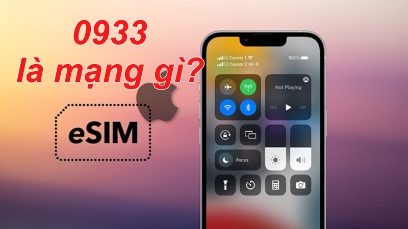 Sim điện thoại 0933 là mạng gì?