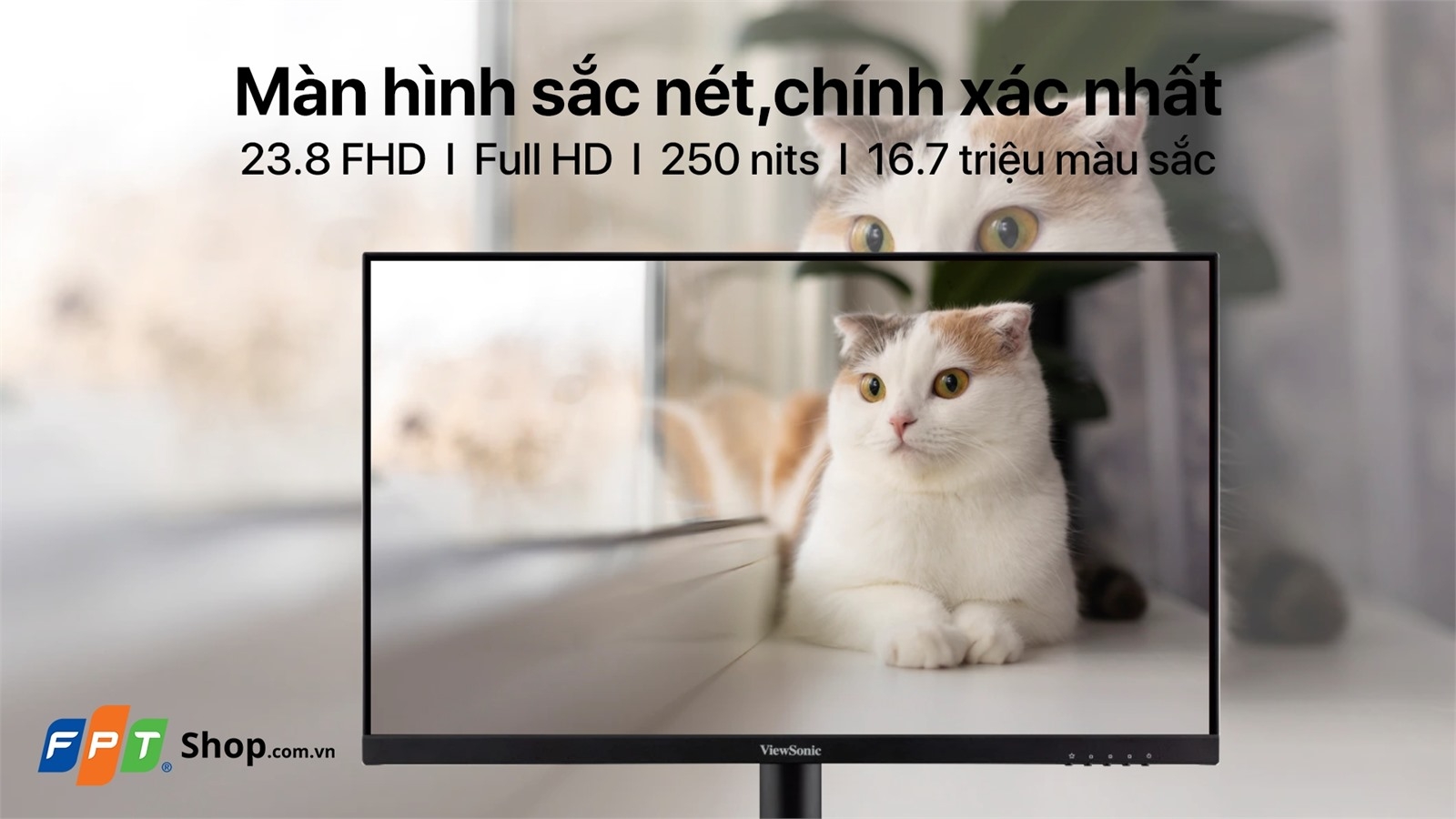 TOP 5 màn hình 24 inch tầm giá 3 triệu đáng mua nhất