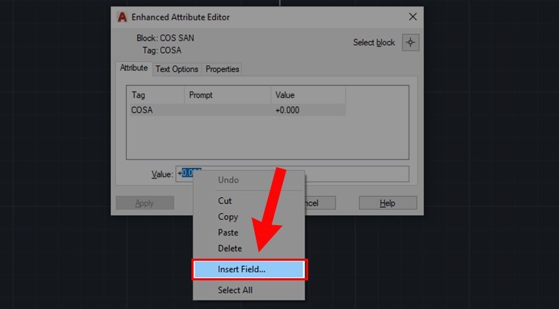 Chọn Insert Field...