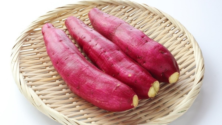 Chọn khoai có màu sắc tươi, kích thước đồng đều