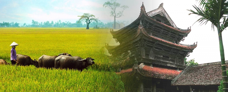 Mã ZIP tỉnh Thái Bình
