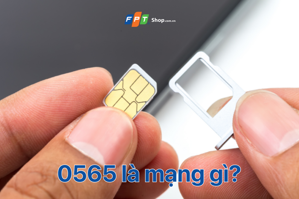 Đầu số 0565 là mạng gì (Ảnh 1)
