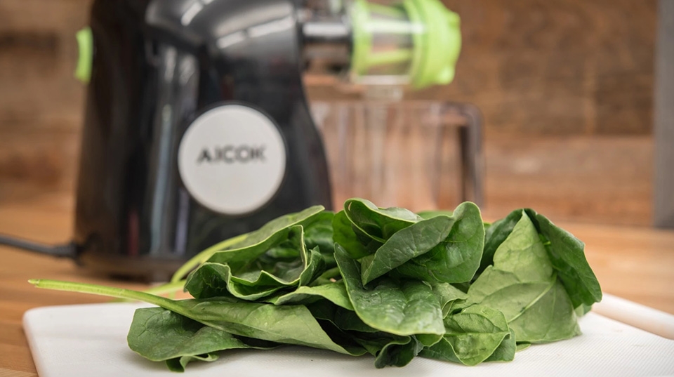 Chọn mua máy ép trái cây - Ảnh 04