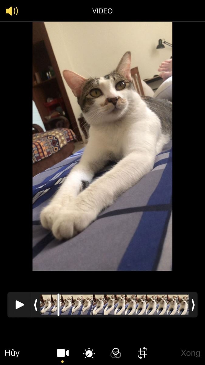 3 cách làm nét video không phải ai cũng biết