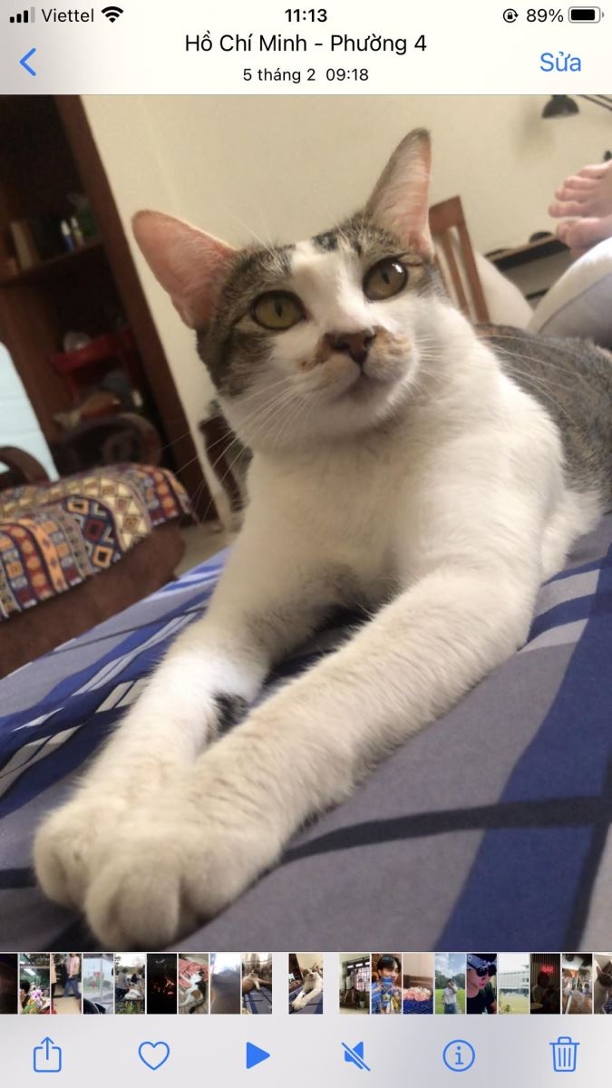 3 cách làm nét video không phải ai cũng biết