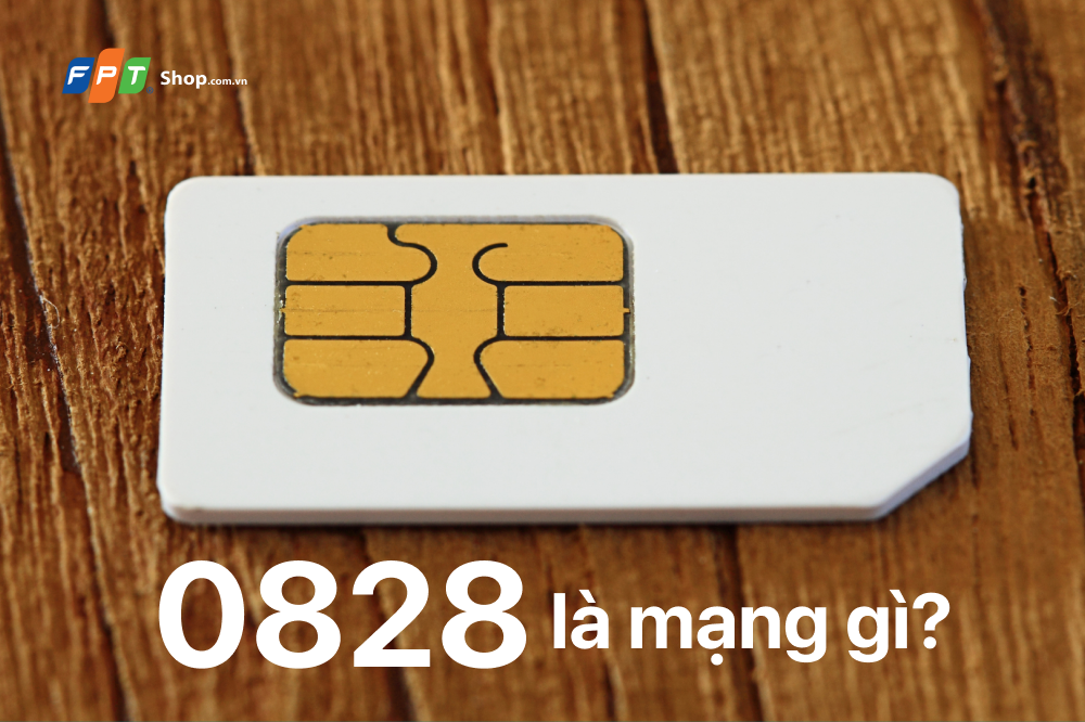 0828 là mạng gì? Phù hợp với những đối tượng nào?