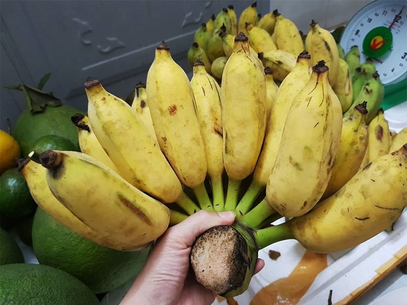 Bí quyết chọn chuối ngon để làm mứt