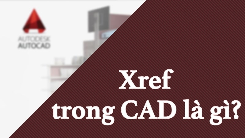 Xref trong CAD là gì?